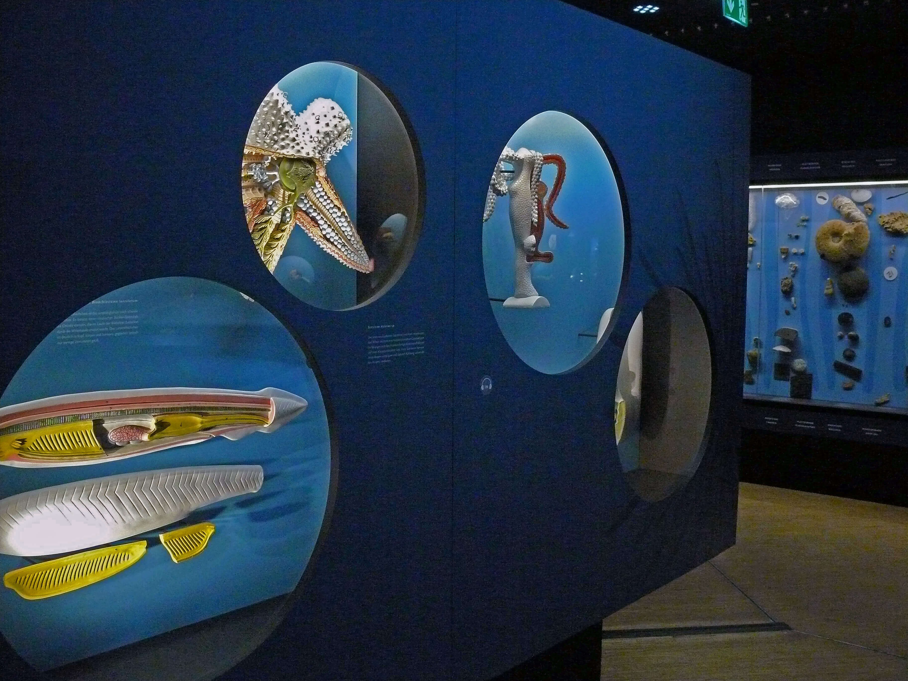 ETUF Mitglieder besuchen den Aqua-Zoo in D&uuml;sseldorf.