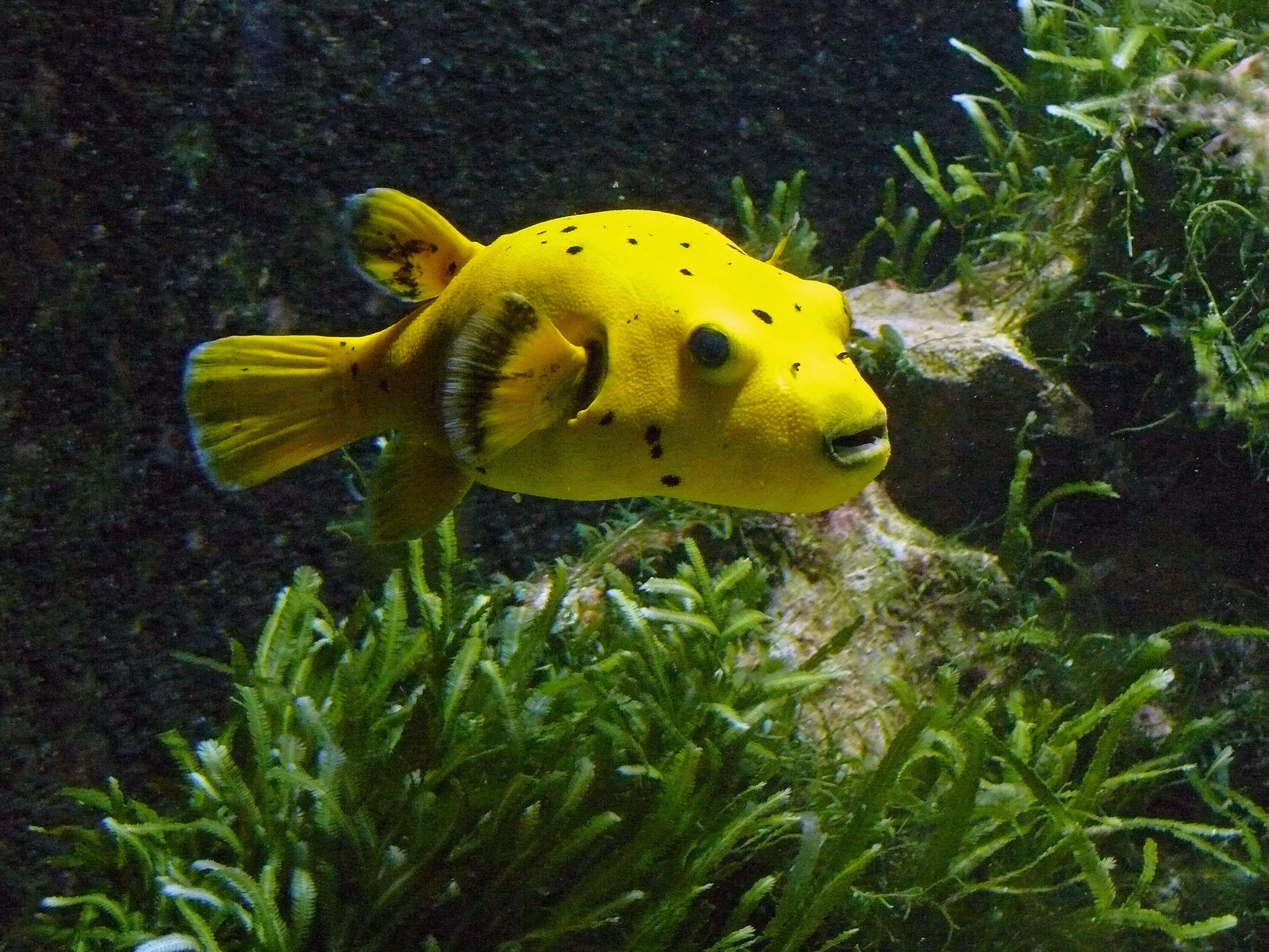 ETUF Mitglieder besuchen den Aqua-Zoo in D&uuml;sseldorf.